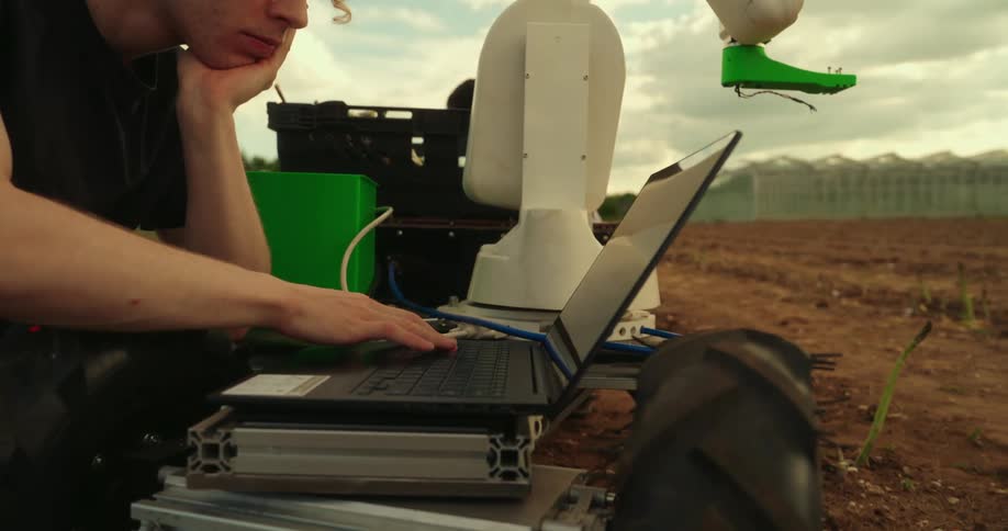 A man using a laptop outdoors in a field or plantation