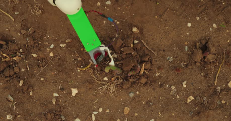 A robotic arm is pulling a green stem out of some rocky soil