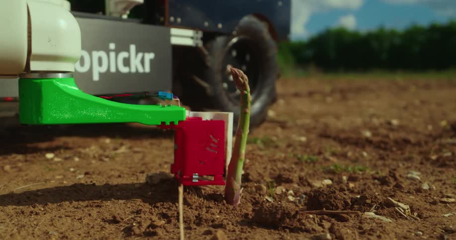 A robotic arm labeled autopickr harvests a stalk of asparagus from a field