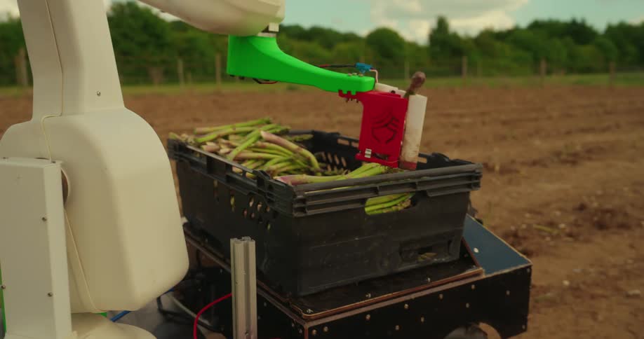 The robot is picking crops on the farm