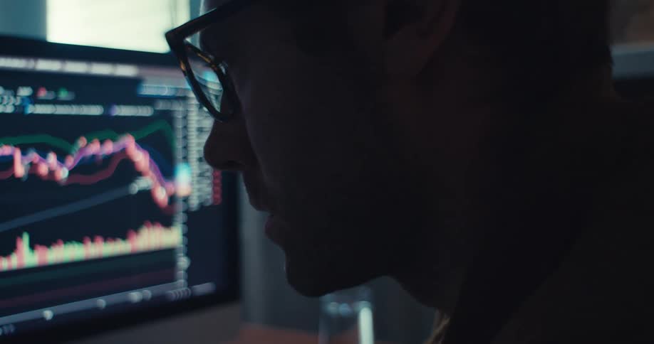 A man is examining a line graph on his computer