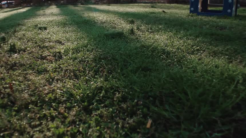 A slide is in the park on the grass