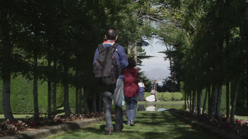 People walking down a tree-lined path