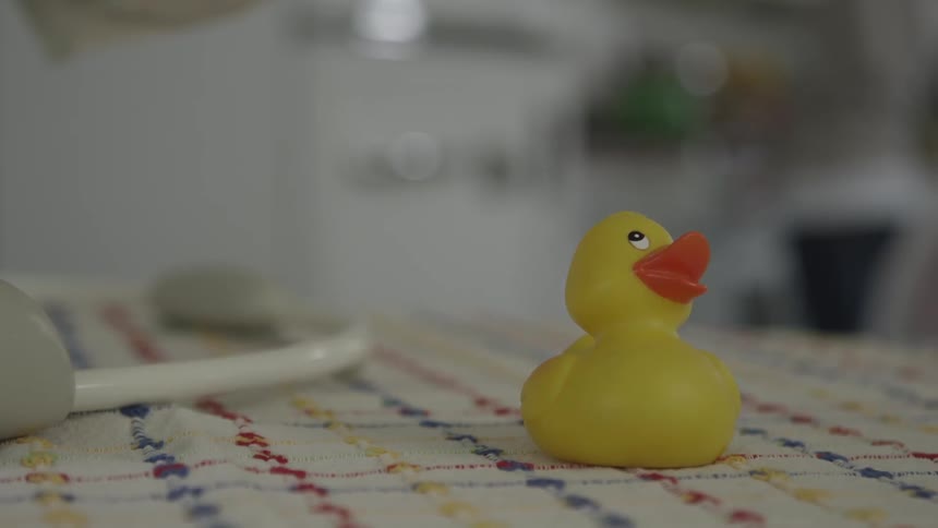 A yellow rubber duck