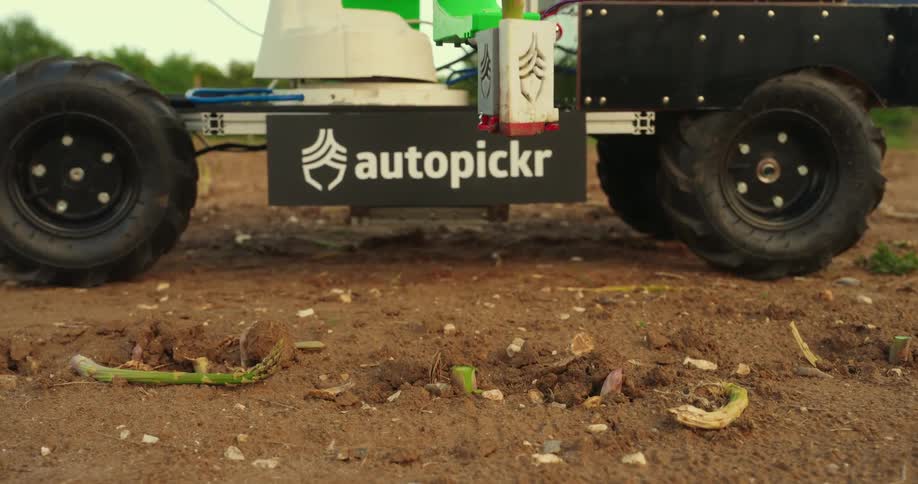 A robotic arm picks vegetables on the farm