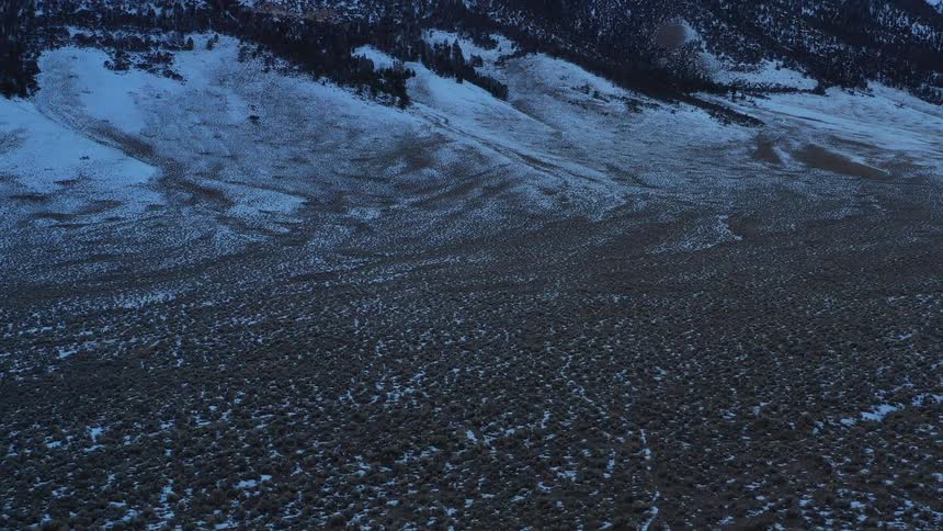The mountain ahead is covered with snow and trees