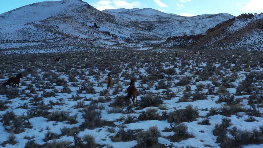 A group of wild horses runs across a snowy plain at the base of rugged mountains