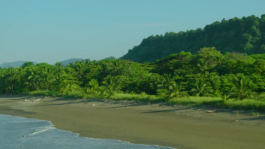A wide shot of a tropical beach with dense green foliage and hills in the background