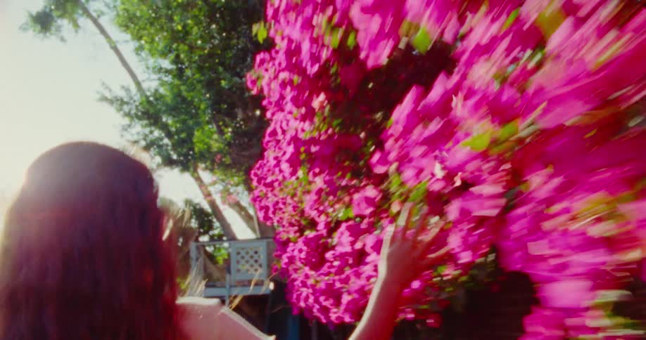 A little girl runs while brushing her hand against bougainvillea plants the whole time