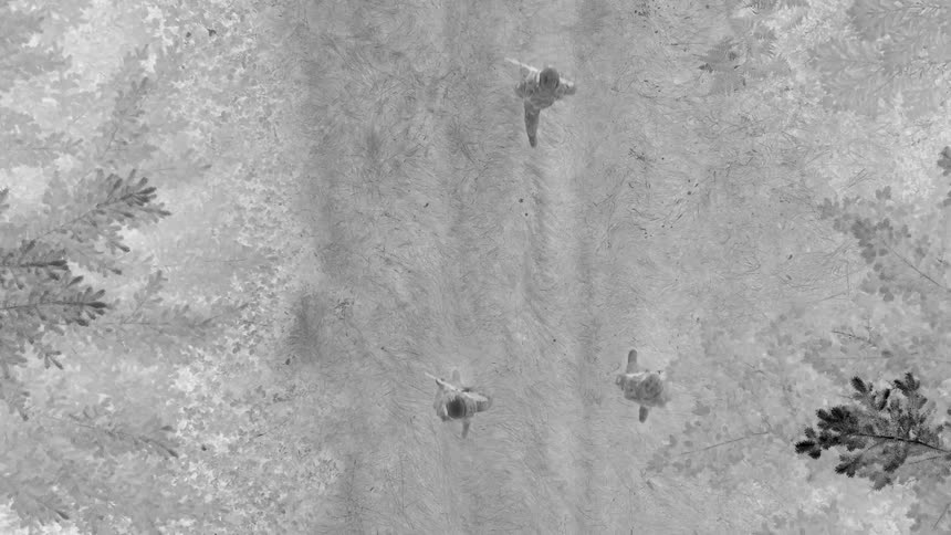 Overhead view of three armed soldiers walking through a natural area