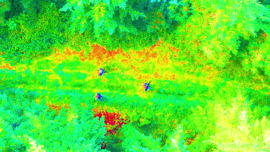 Heatmap view of three people walking along a forest trail