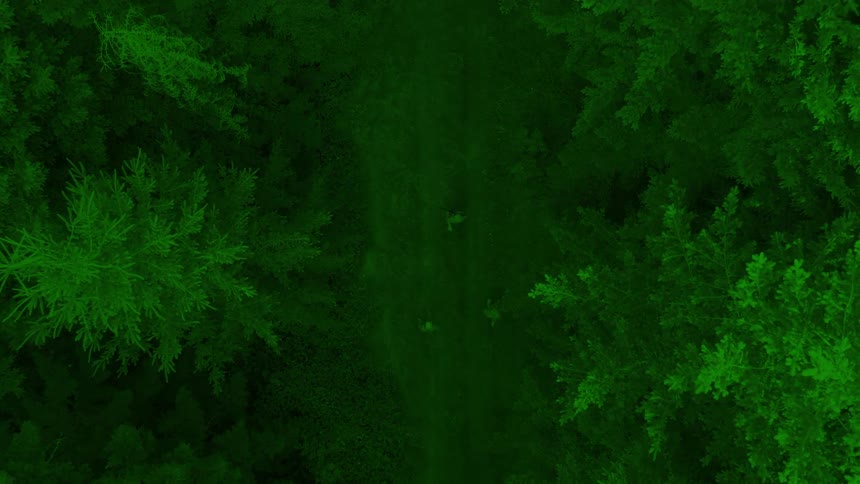 Aerial view of three people walking through a forest environment