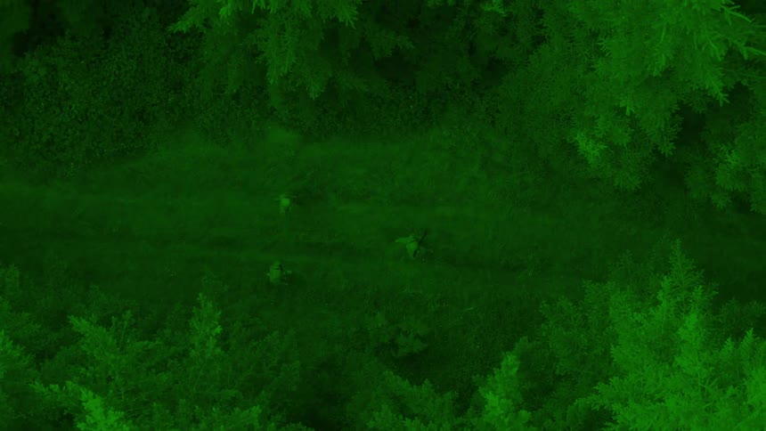 Overhead view of three armed people walking through a wooded area