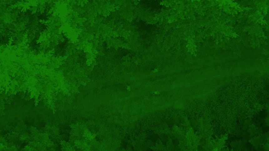 Aerial view of three people in a forest