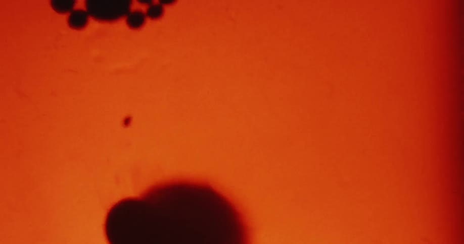Dark irregular shapes and droplets are visible moving against an orange background