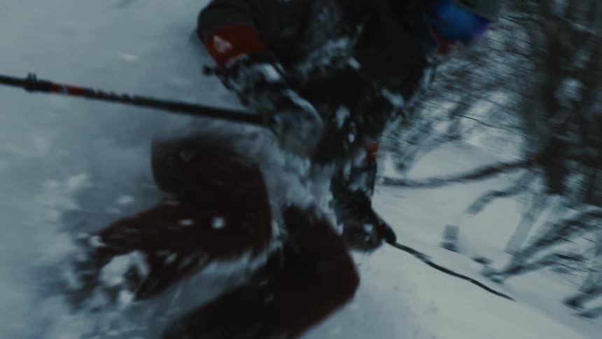 A skier in winter gear carves through deep powder snow in a snowy wooded area kicking up a large spray of white snow