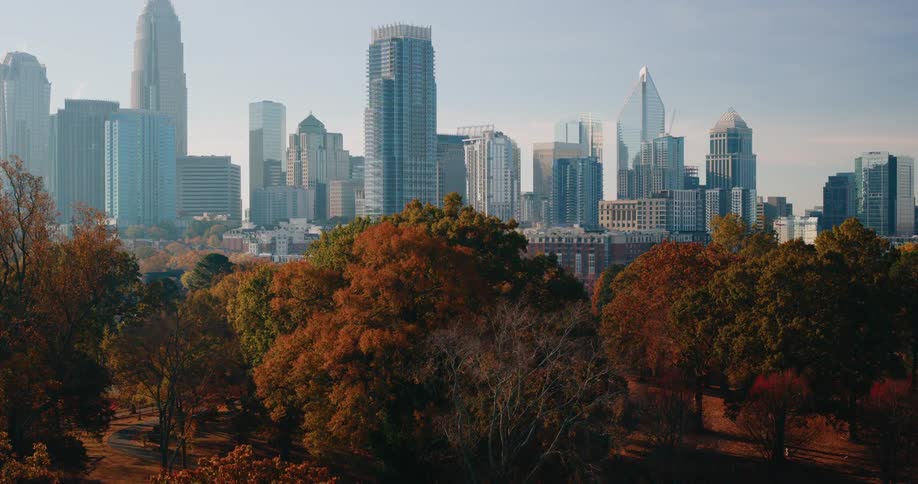 Panorama of a wooded park in the foreground and skyscrapers of a metropolis in the background