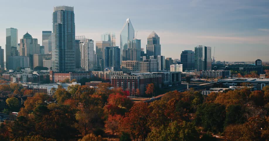 An aerial view captures a sprawling city skyline dominated by modern skyscrapers with a foreground of lush trees displaying warm autumn colors