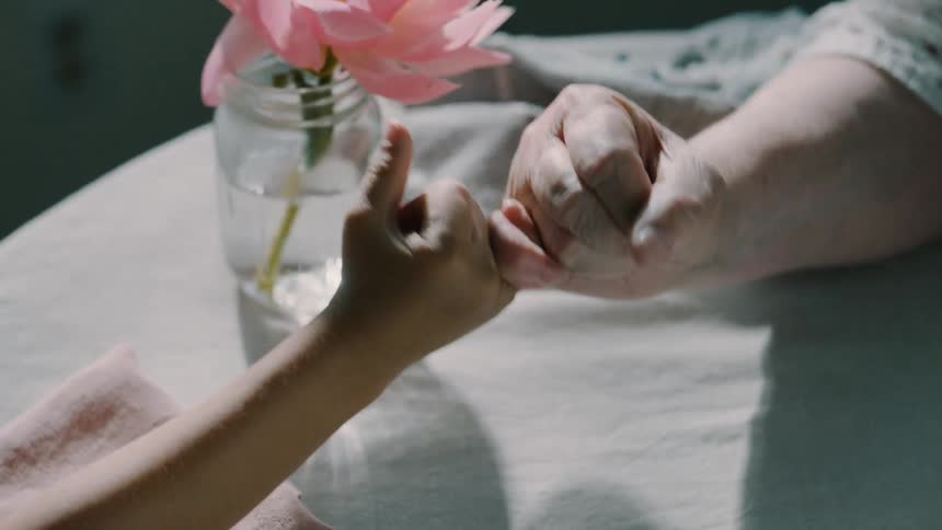 An adult and a child making a pinky swear over a table that has a flower in a vase placed on it