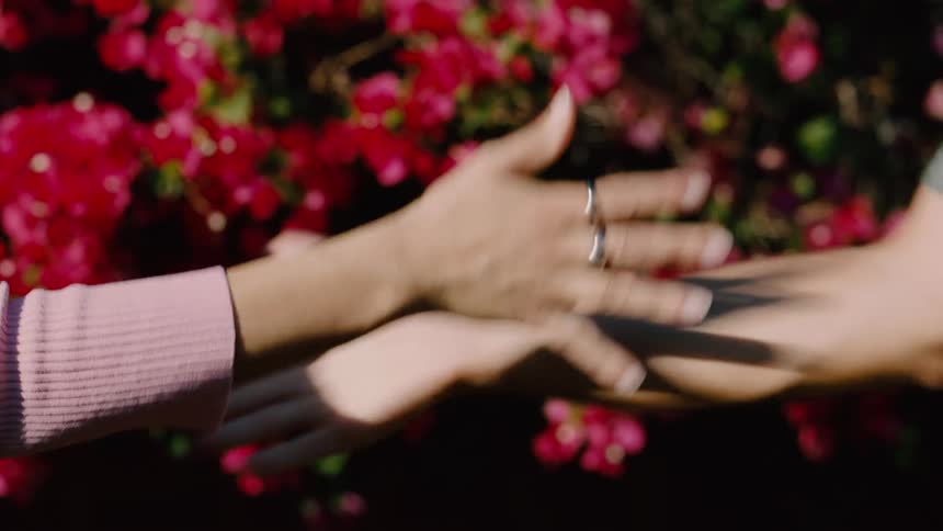 Two people tap hands and shake hands