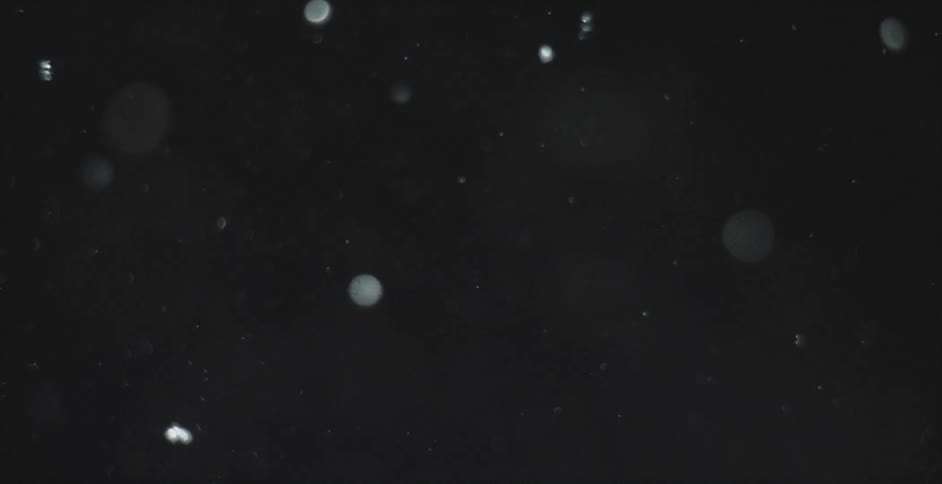 White particles floating in a dark room
