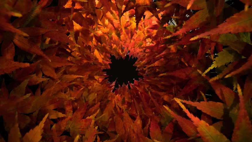 Jagged leaves filling a wire mesh container change colors and leave an opening at the center