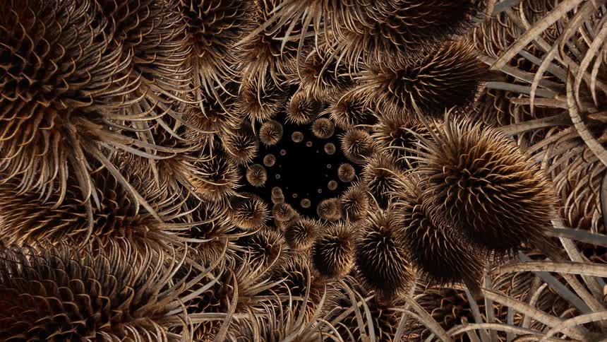 Brown objects covered in tendrils and stalks rotate against a black background