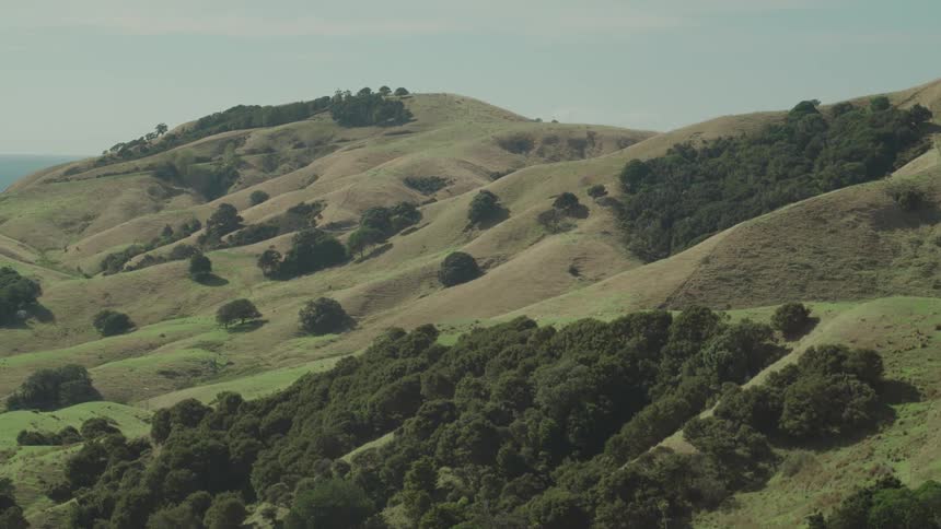 Rolling green hills with scattered trees stretch across a sunlit landscape