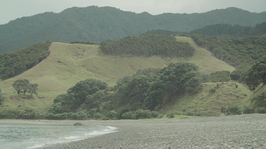 Waves crash on the shore with greenery in the distance