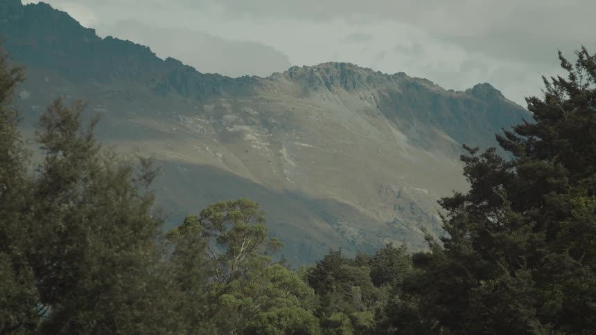 Tall rugged mountains in the distance framed by dark green trees in the foreground under a cloudy sky