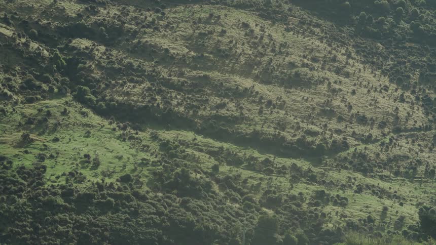 Aerial of open grassland and forest area during the day