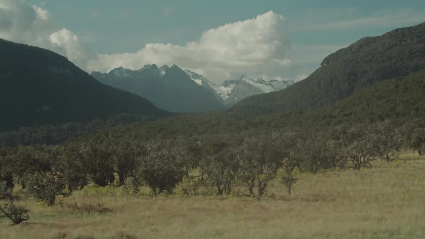 A distant view of snowcapped mountains framed by wooded hills and an open grassy field