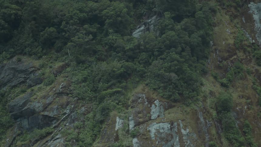 A mountain covered in trees and vegetation