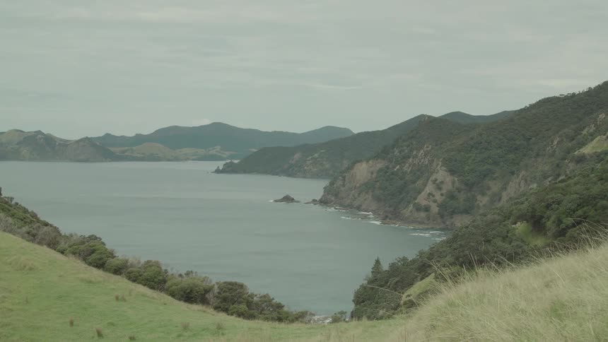 A coastal landscape with grassy cliffs overlooks a calm ocean bay surrounded by forested hills