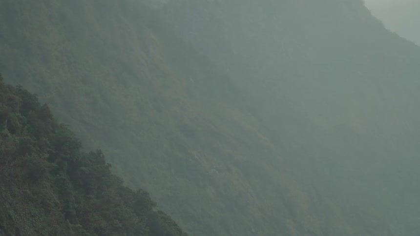 A mountain forest blanketed in lush green vegetation shrouded in a foggy atmosphere