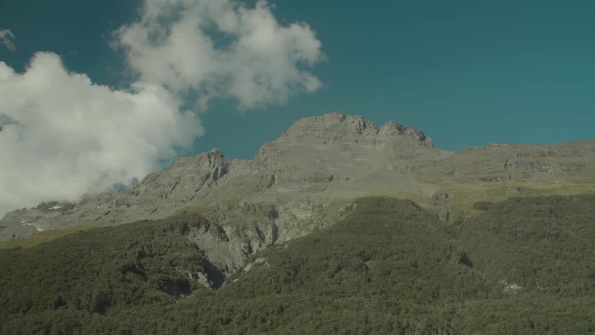 Treecovered mountains under a clear sky in a wide open landscape
