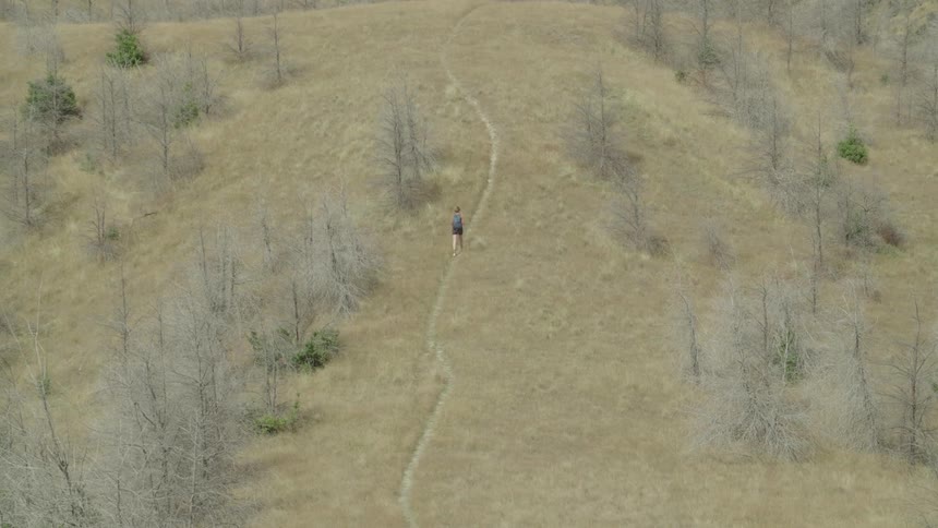 A person walks alone on a narrow path through dry hilly grassland