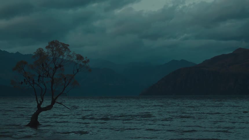 A lone tree with birds perched on its branches stands silhouetted in a rippling lake against a backdrop of distant mountains under a dark cloudy sky