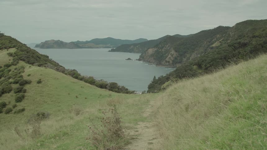 A narrow trail winds through grassy hills toward a coastal bay surrounded by forested cliffs
