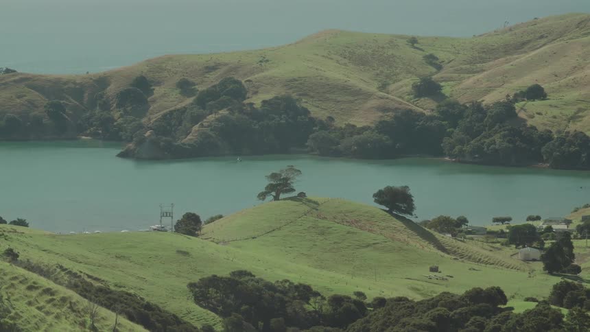 A lush green hillside with trees overlooks a calm bay and rolling hills