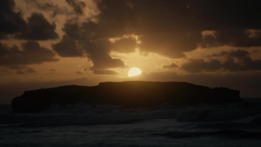A bird flies on the shore at sunrise