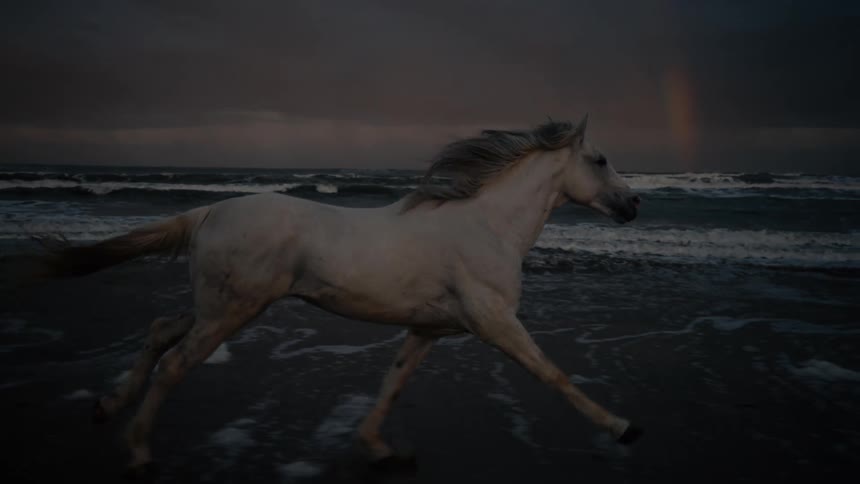 A white horse runs along a dark beach as waves crash behind it at dusk
