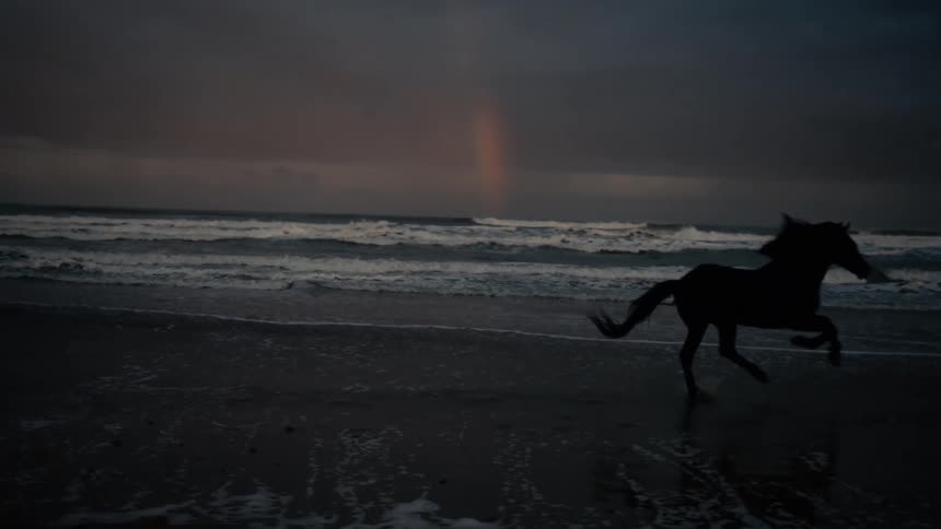 Horses run across the beach under dark storm clouds while a rainbow touches the horizon
