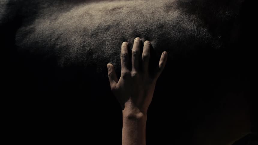 A single hand reaches up in dim light to touch the thick dark fur of an animal