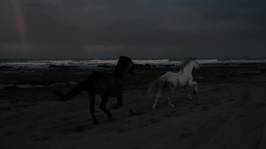 Two horses one dark and one white run along a dim sandy beach with the ocean behind them under a dark stormy sky featuring a faint rainbow and lightning