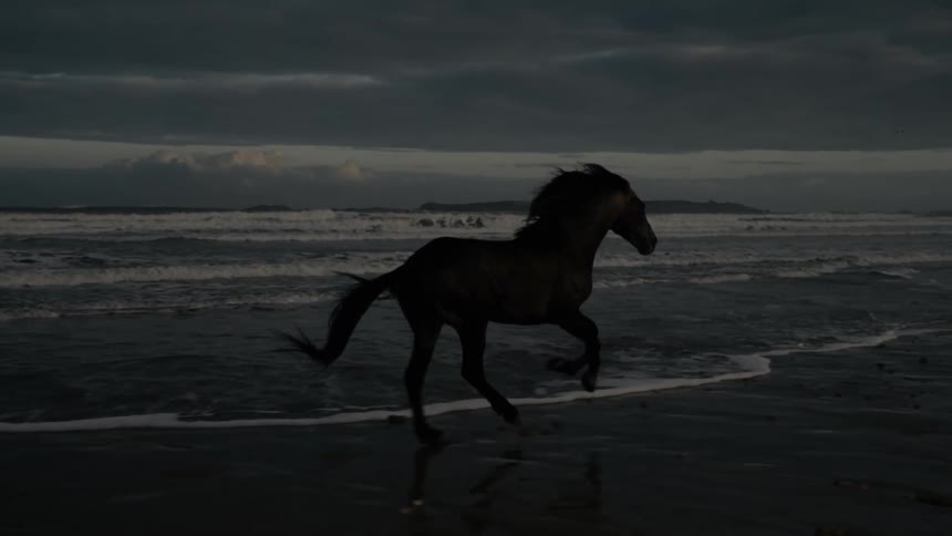 Horses run across the beach under dark storm clouds
