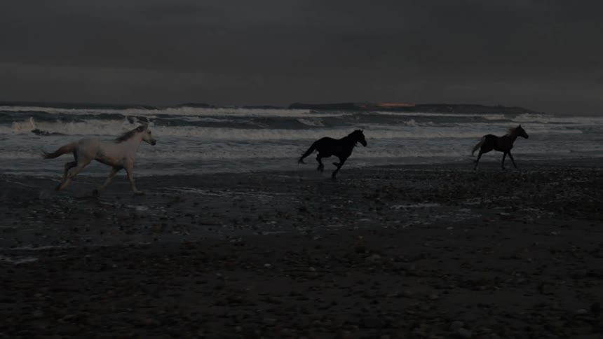 Three horses gallop along a dark moody beach shore under stormy skies