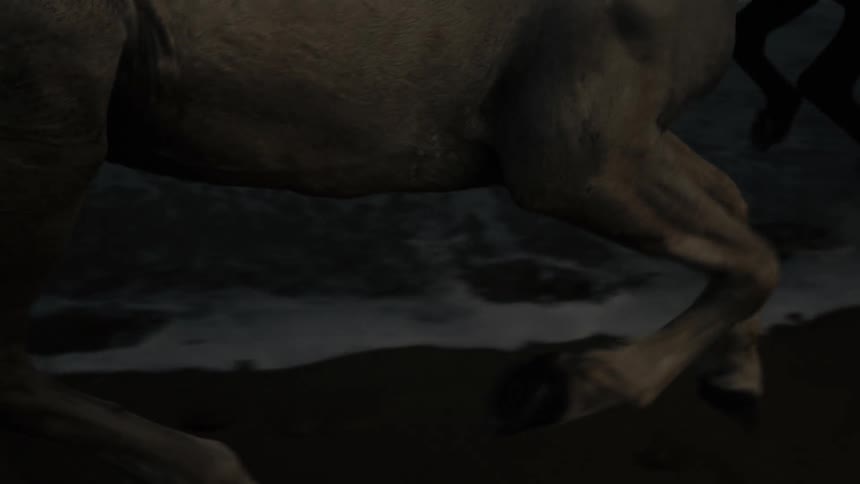 A brown horse running along the sandy beach