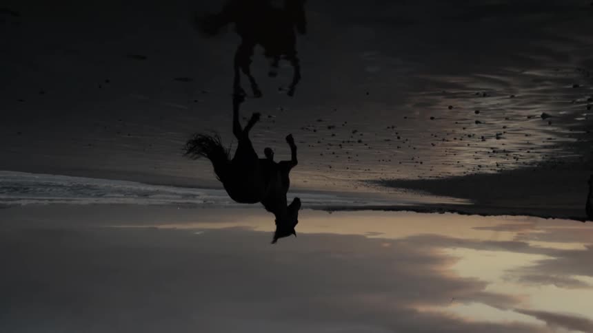 Horse runs across a reflective beach under a red sky in an upside down landscape