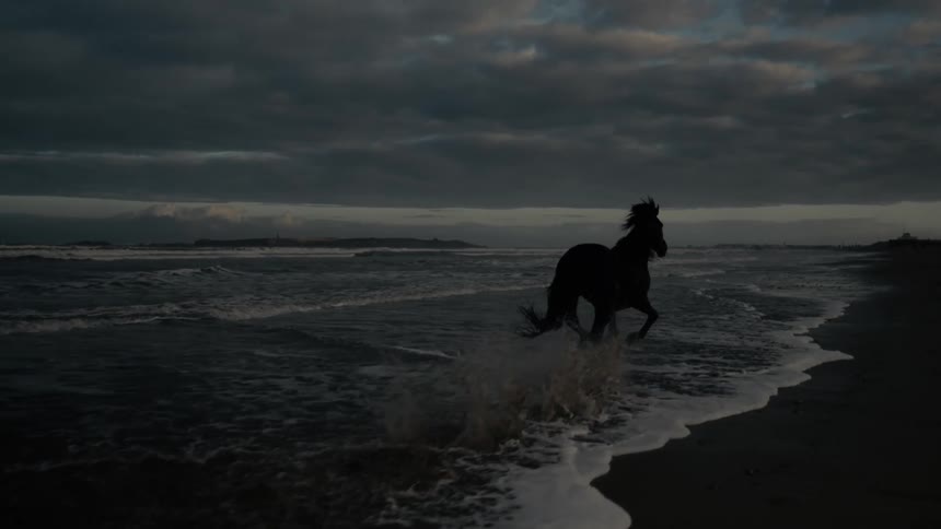A lone horse runs through shallow waves along a dark stormy beach at dusk